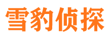 任县市调查公司